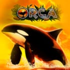 Orca screenshot